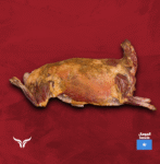 IMG-202450919-WA0018